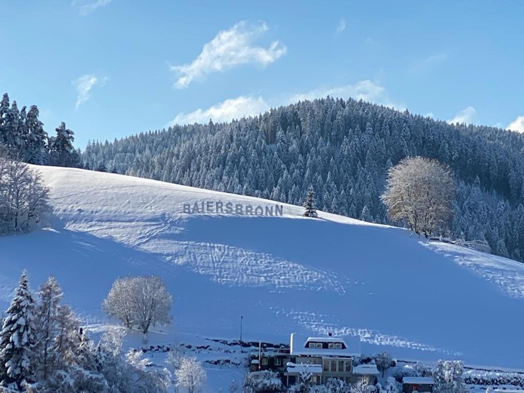 Hotel Hirsch Baiersbronn Extérieur photo